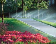 Lush and Beautiful Garden from Del Mar CA Sprinkler Repair