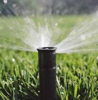 Durable Sprinkler Head offered by Del Mar CA Sprinkler Repair